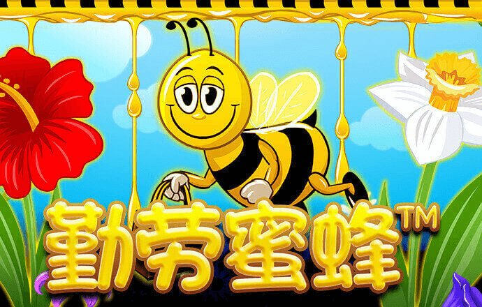 NG体育电子游戏官网